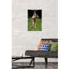 Trends International Famous Kitten Hang In There Poster Unframed Wall Poster Prints - 2 of 4