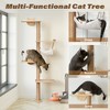 Sandinrayli Cat Wall Mounted Shleves - 4 of 4