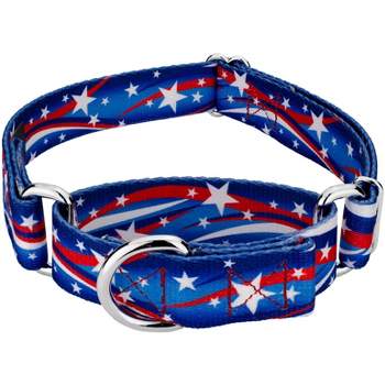 Country Brook Petz - Star Spangled Martingale Dog Collar