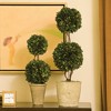 Plum & Post Boxwood Double Faux (Fake) Sphere Topiary 28" - 2 of 2
