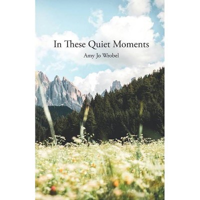 In These Quiet Moments - by  Amy Jo Wrobel (Paperback)