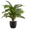 Artificial Plant, 17" Tall, Dracaena, Indoor, Faux, Fake, Table, Greenery, Potted, Real Touch, Decorative, Green Leaves, Black Pot - 2 of 4