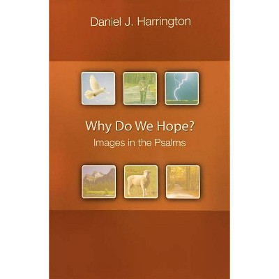 Why Do We Hope? - by  Daniel J Harrington (Paperback)