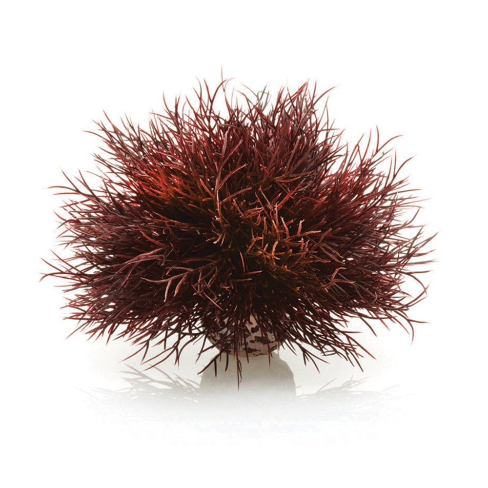 Photos - Aquarium Decoration BiOrb Aquatic Sea Lily Aquarium Artificial Plants - Crimson 