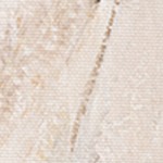 montalcino elm