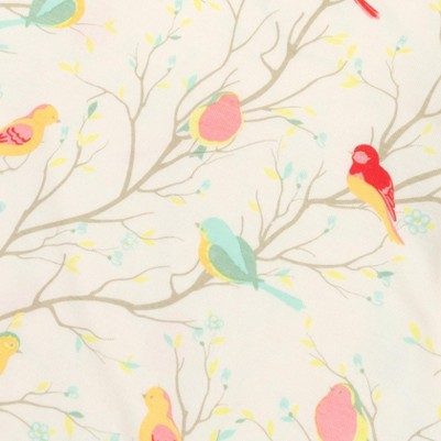 birds