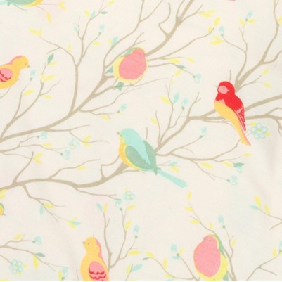 birds