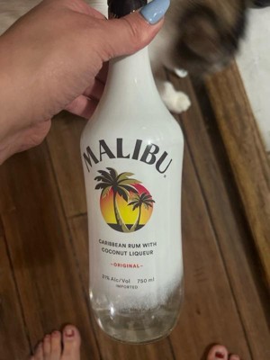 Malibu Price List: Find The Perfect Bottle Of Rum (2023 Guide)