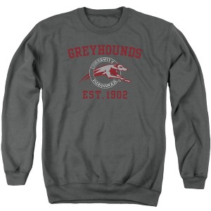 University of Indianapolis Official Circle Logo Adult Crewneck Sweatshirt - 1 of 4