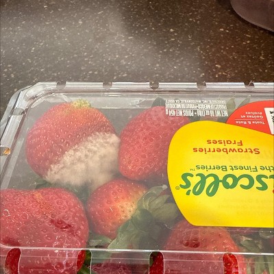 Guest review image 1 of 1, zoom in