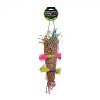 Prevue Pet Products Forage & Engage Tropical Teasers Confetti Kazoo Bird Toy 62513 - 2 of 3