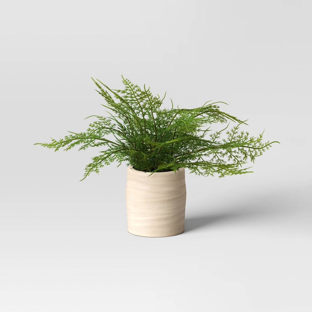 (case pack of 2) Small Artificial Asparagus Fern Leaf in Pot - Threshold™