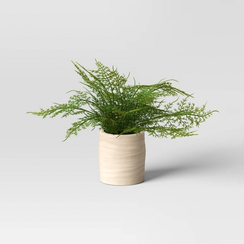 Small Artificial Asparagus Fern Leaf in Pot - Threshold™ - image 1 of 4