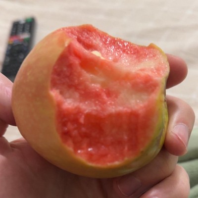 Guest review image 1 of 1, zoom in