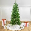 Northlight 4.5' Pre-Lit White River Fir Artificial Pencil Christmas Tree - Clear Lights - 2 of 4