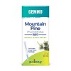 Mountain Pine, Buds by Boiron Herbal Supplement  -  2 fl oz(60 ml) Liquid - 2 of 4