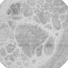 Gray Silver And Ivory Nautical Washable Indoor Outdoor Area Rug - 4 of 4