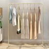 YIYIBYUS Gold Clothes Rack Metal Freestanding Garment Rack Clothes Display Stand For Living Room Clothing Store - 3 of 4