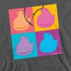 Peeps Easter In Squares In Four Colors Adult Pull-Over Hoodie - 2 of 4