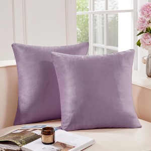 Deconovo Home Velvet Soft Decorative Pillow Covers Invisible Zipper Cushion Cover, 2-Pack - 1 of 4