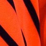 orange/navy