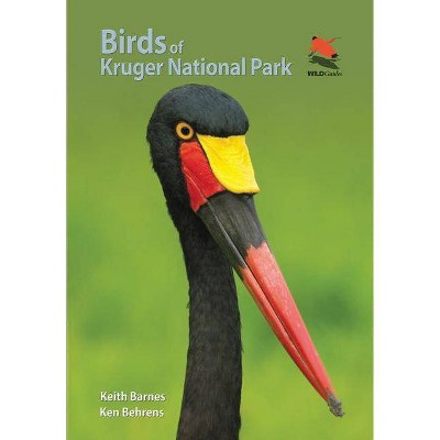 Birds of Kruger National Park - by  Keith Barnes & Ken Behrens (Paperback)