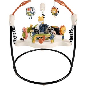 Fisher-Price Baby Bouncer Palm Paradise Jumperoo Activity Center - 1 of 4