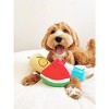 ZippyPaws Crinkle Plush Cute Dog Toys, Popsicle, Watermelon, Lemonade (Summertime Combo) - 2 of 4