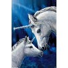 Trends International Lisa Parker - Sacred Love Unframed Wall Poster Prints - 4 of 4