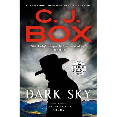 Dark Sky - (Joe Pickett Novel) Large Print by  C J Box (Paperback)