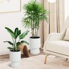 Tall Planters Set of 2, Large Planter , Flower Pots with Water Level Monitor, for Patio, Porch, Living Room, or Home Office - 3 of 4
