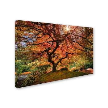 Trademark Fine Art -Moises Levy 'The Tree Horizontal' Canvas Art