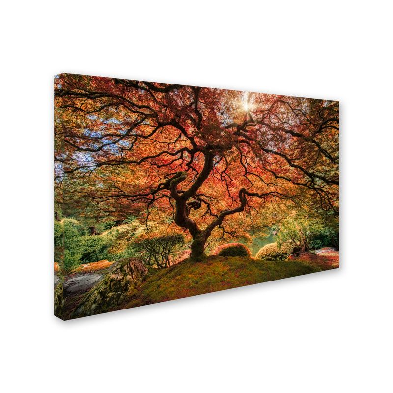 Trademark Fine Art -Moises Levy 'The Tree Horizontal' Canvas Art, 1 of 4
