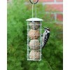 Pacific Bird & Supply Co. Insect + Hot Pepper Suet Balls, 6pk - 3 of 3