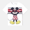 Disney Mickey and Friends Family Matching Outfits Ruffled Cami Dresses and Striped T-Shirts Sets - 2 of 4