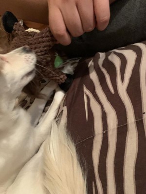 Guest review image 5 of 5, zoom in