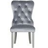 Passion Furniture Geneva Silver Champagne Velvet Upholstered Arm Chair (Set of 2) - 2 of 4