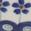 flowering peacock