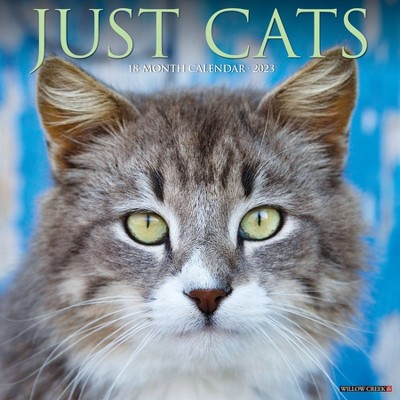 2023 Wall Calendar Happy Tails: Cats + Kittens Celebrating The Seasons - Tf  Publishing : Target