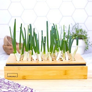 HAMAMA Home Green Onion Kit & Bamboo Frame, Regrow Fresh Green Onions Indoors Every Week, 30-Second Setup, Just Add Water - 1 of 4