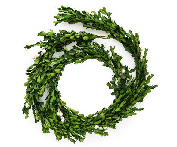 6' Preserved Boxwood Garland - sugar paper&#153;