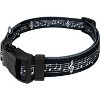 Country Brook Petz Deluxe Sheet Music Dog Collar - Made in the U.S.A - 2 of 4