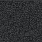 west virginia mountaineers