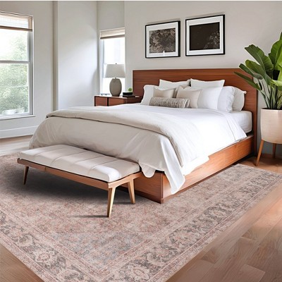Hillstone Red and Beige Rectangular Synthetic Area Rug
