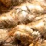 camel, chocolate brown, dark brown, light beige, tan