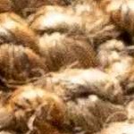 camel, chocolate brown, dark brown, light beige, tan