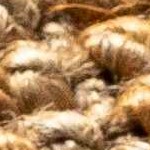 camel, chocolate brown, dark brown, light beige, tan