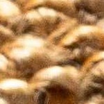 camel, chocolate brown, dark brown, light beige, tan