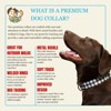 Country Brook Petz Premium Dog Collar - Christmas Collection - 2 of 4