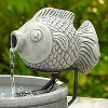 Smart Solar 12.99" Cement Marin Solar Fish Sculptural Fountain - 3 of 4